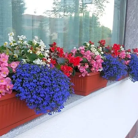 Verbena Bed and Breakfast