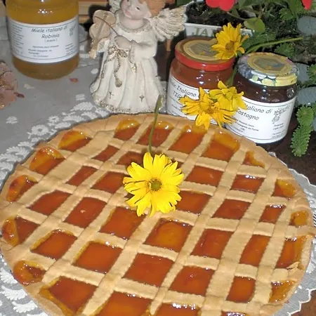 Verbena Bed and Breakfast