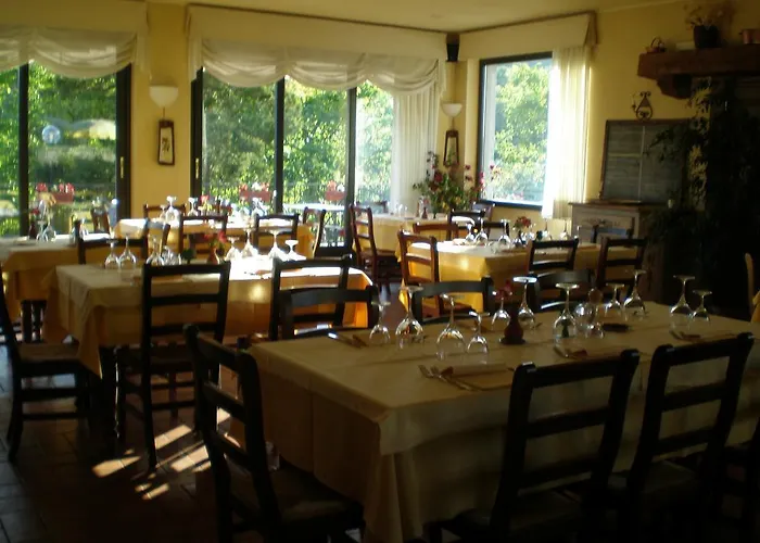 Verbena 3* Стреза