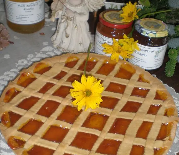 Verbena Bed and breakfast 3*