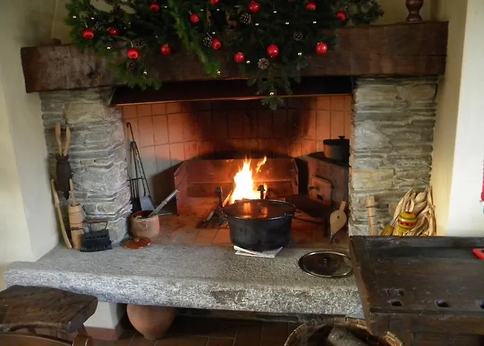 Verbena Стреза