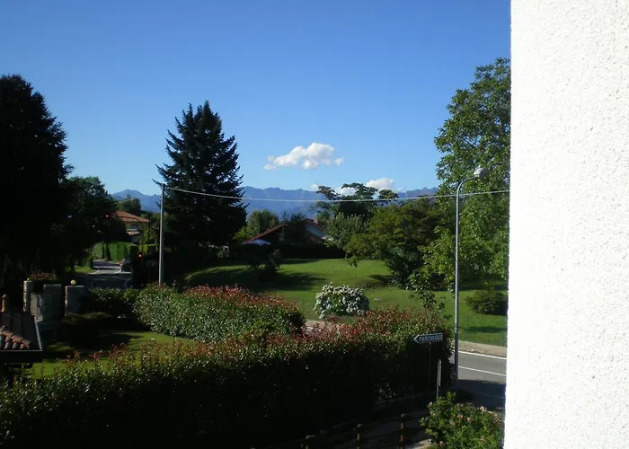 Verbena Стреза