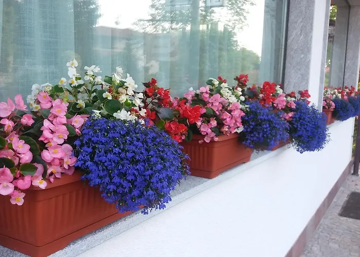 Verbena Bed & Breakfast